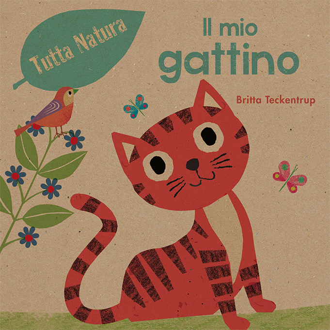 Il mio gattino