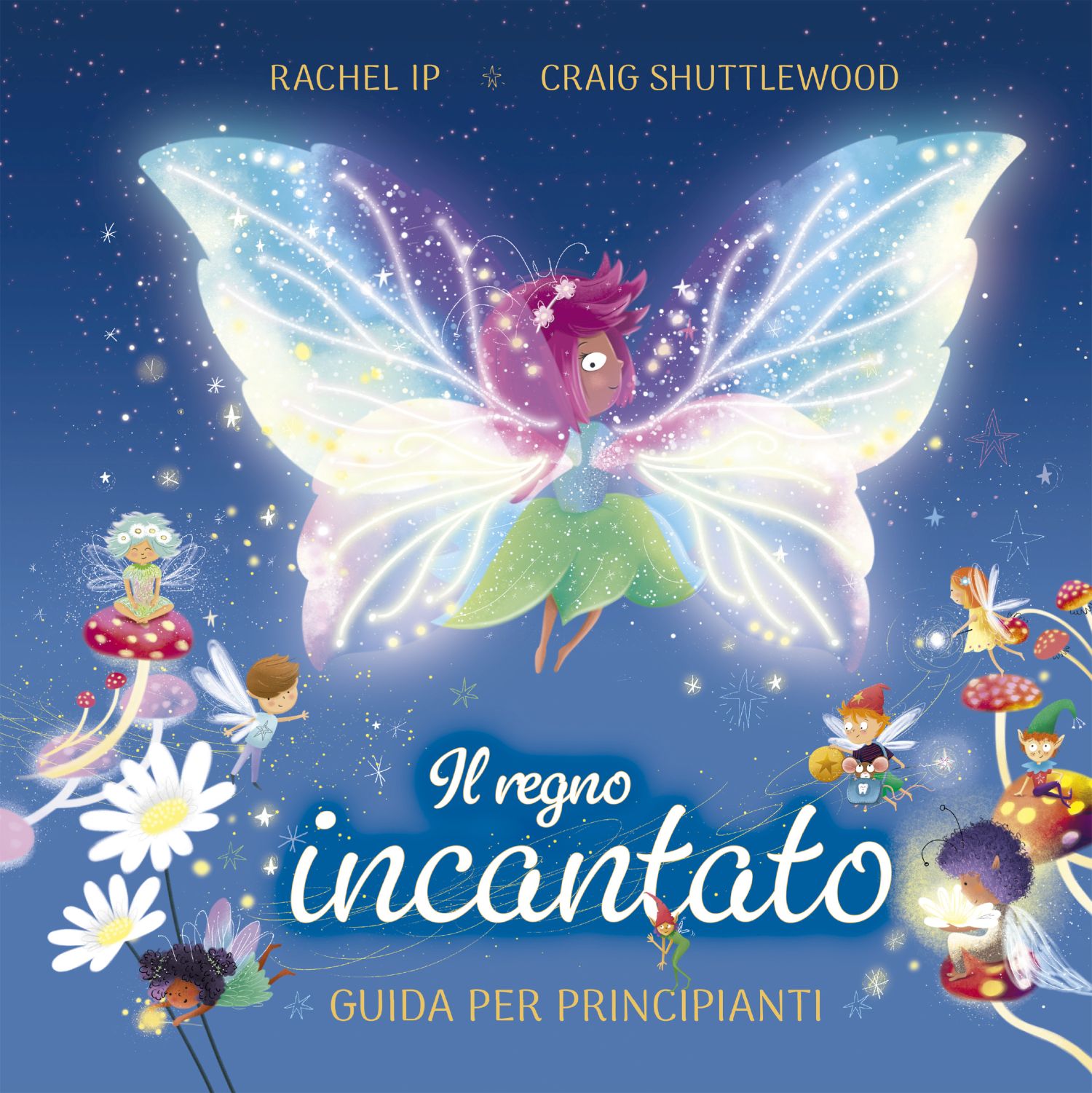 Il regno incantato. Guida per principianti